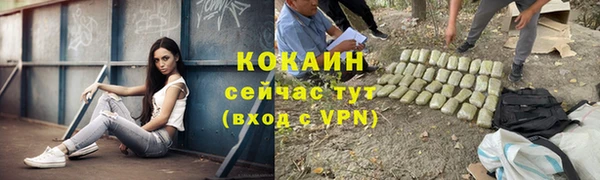 шишки Абинск