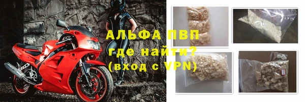 сатива Надым