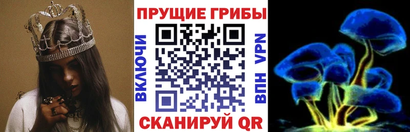 Галлюциногенные грибы Magic Shrooms  hydra сайт  Тихорецк  закладки 